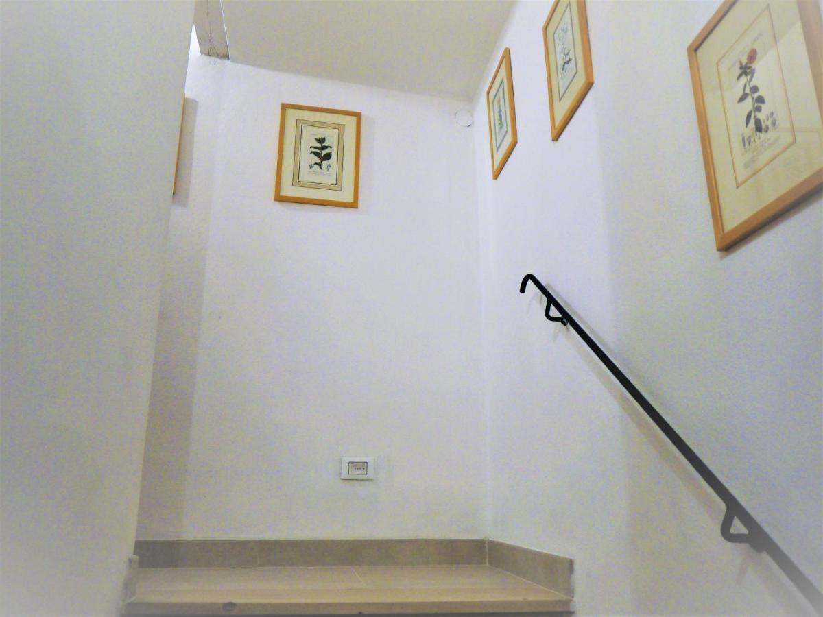 Apartament Casa Marzia Montevarchi Zewnętrze zdjęcie